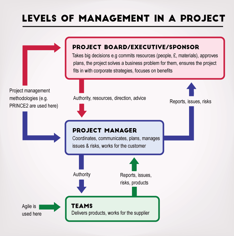management levels in a project